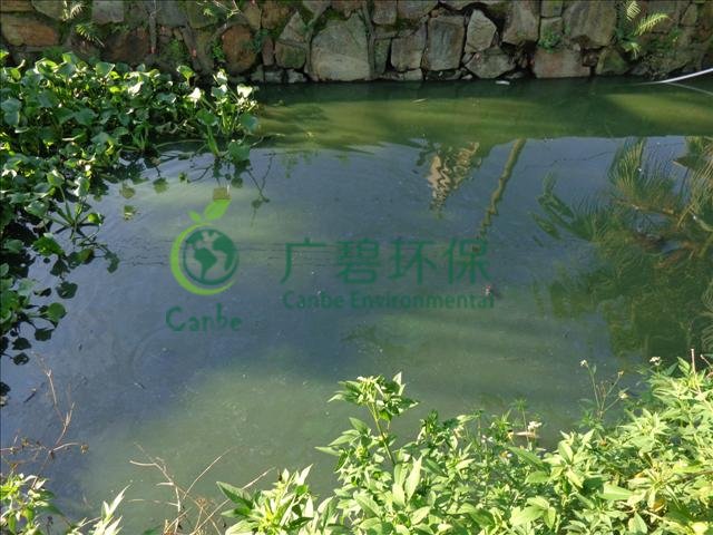 城市河道污染原因及治理措施 (圖3) 城市河道污染原因及治理措施 (圖3)