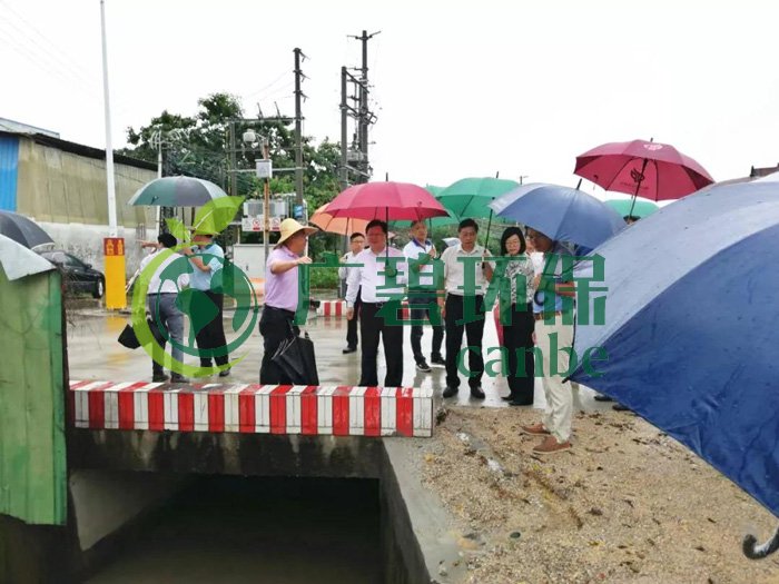 佛山推進(jìn)水污染防治問題整改，虛假整改將被問責(zé)！(圖2)