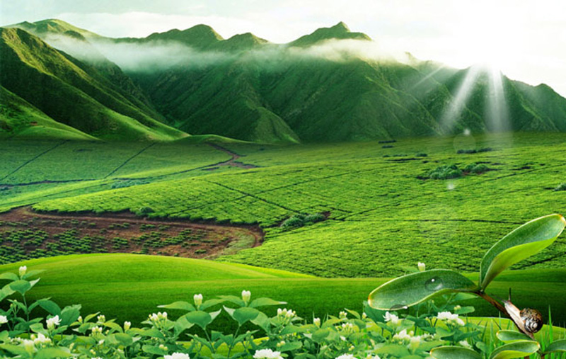 廣東省生態(tài)環(huán)境廳審批環(huán)境影響評(píng)價(jià)文件的建設(shè)項(xiàng)目名錄(2019年本)