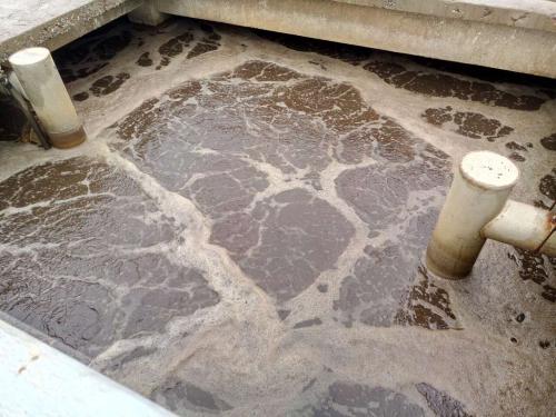 什么是制革廢水？制革廢水特點與處理工藝