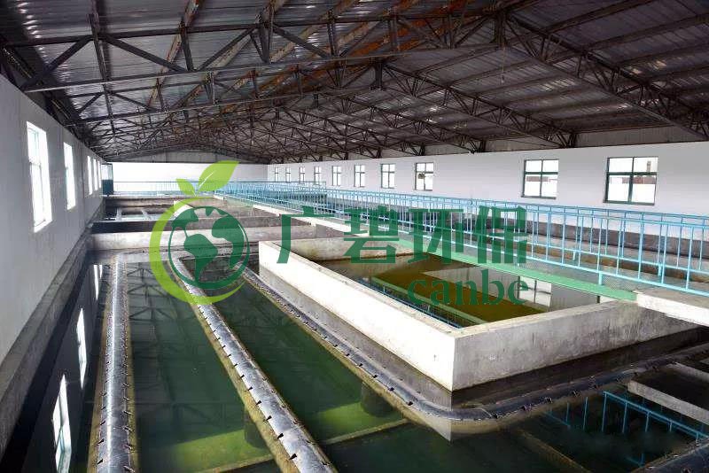 什么是制糖廢水？制糖廢水處理技術(圖1)