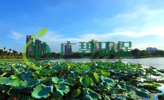 佛山市各區(qū)鎮(zhèn)空氣質(zhì)量與水環(huán)境質(zhì)量排名2019年1-5月(圖1) 佛山市各區(qū)鎮(zhèn)空氣質(zhì)量與水環(huán)境質(zhì)量排名2019年1-5月(圖1)