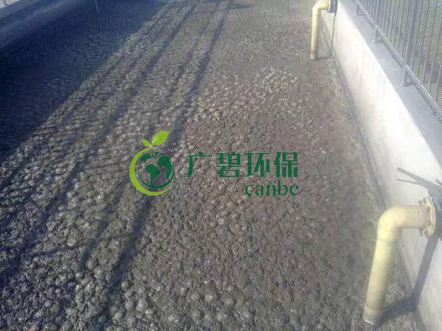 污泥發黑是什么原因造成?污泥發黑經驗分享(圖1) 污泥發黑是什么原因造成?污泥發黑經驗分享(圖1)