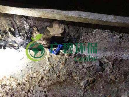 廣州旺旺食品廢水直排,永和河大量魚類死亡(圖4) 廣州旺旺食品廢水直排,永和河大量魚類死亡(圖4)