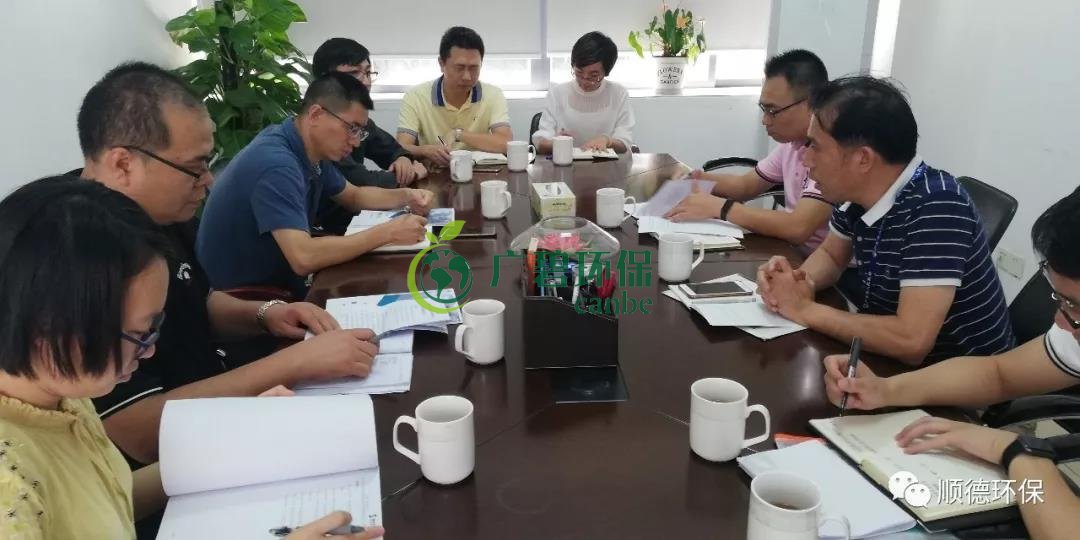 佛山市生態環境局陳振華副局長來順德開展“不忘初心、牢記使命”主題教育現場調研(圖4)