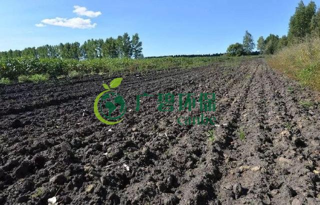 土壤重金屬環境污染與治理措施(圖2) 土壤重金屬環境污染與治理措施(圖2)