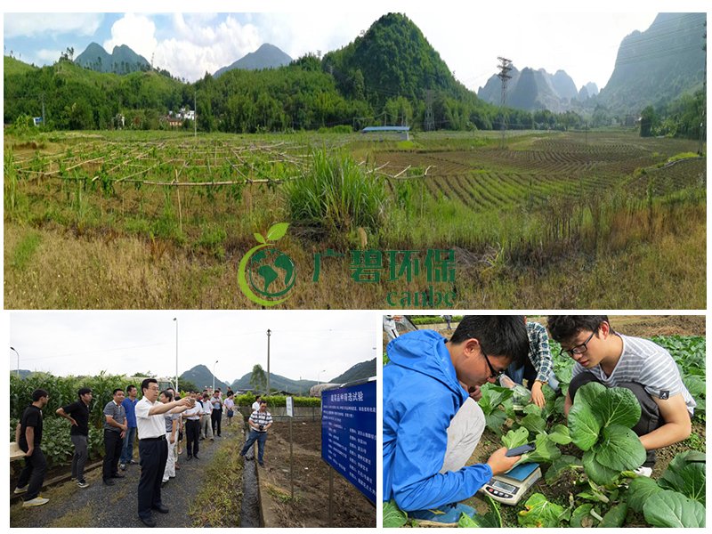 土壤環境調查與修復工作中存在的主要問題(圖1) 土壤環境調查與修復工作中存在的主要問題(圖1)