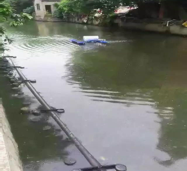 廣東公布省級河湖最新河湖長名單!