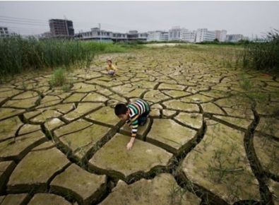 史上最全污泥處理知識,從事環保行業 | 不能不知道這些?