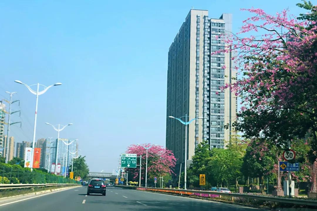 環(huán)境部印發(fā)《規(guī)劃環(huán)評技術(shù)導(dǎo)則 總綱》,項目環(huán)評部分章節(jié)可簡化