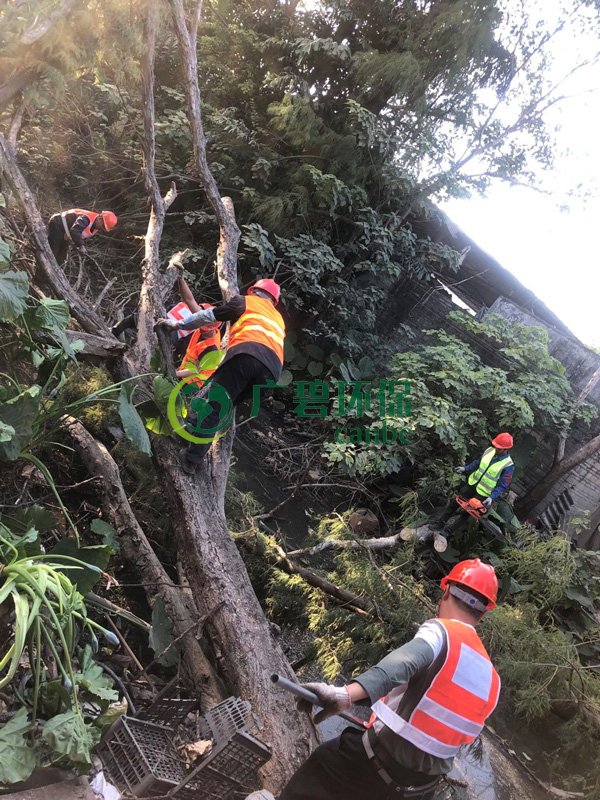 廣碧環保在順德古鑒涌項目現場召開施工生產動員大會(圖3) 廣碧環保在順德古鑒涌項目現場召開施工生產動員大會(圖3)