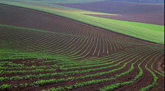 土壤檢測(cè)標(biāo)準(zhǔn)取樣方式，越標(biāo)準(zhǔn)結(jié)果越準(zhǔn)確
