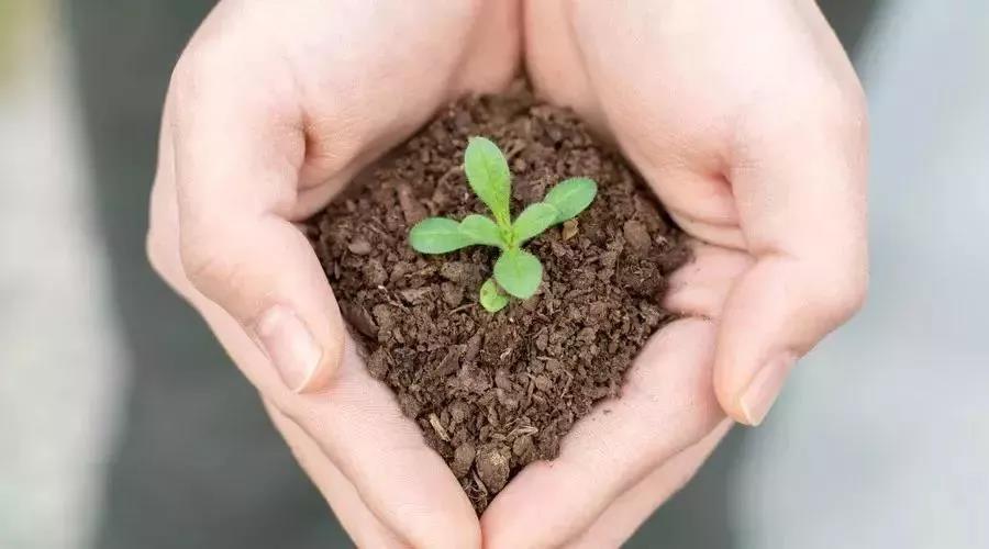 關于土壤污染修復,你了解多少?(圖1) 關于土壤污染修復,你了解多少?(圖1)