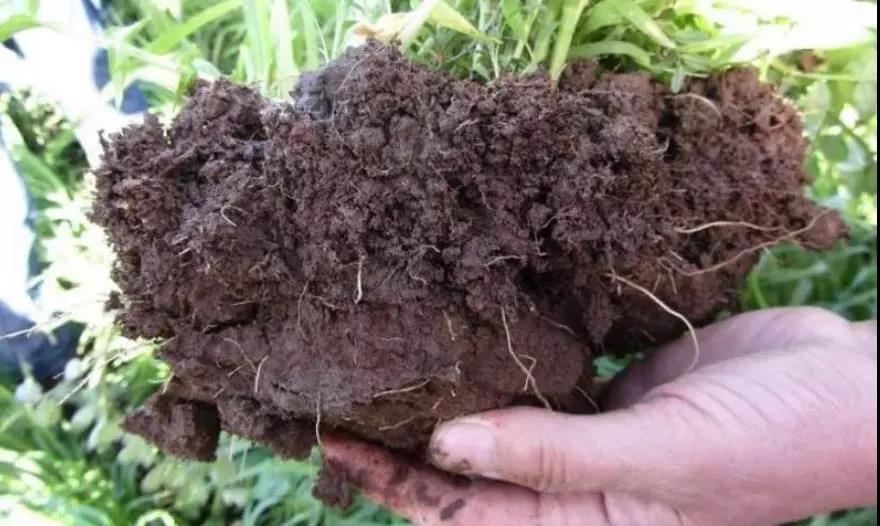 土壤侵蝕是什么?什么導(dǎo)致了土壤侵蝕?