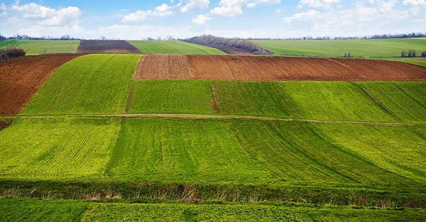土壤侵蝕是什么?什么導(dǎo)致了土壤侵蝕?(圖1) 土壤侵蝕是什么?什么導(dǎo)致了土壤侵蝕?(圖1)