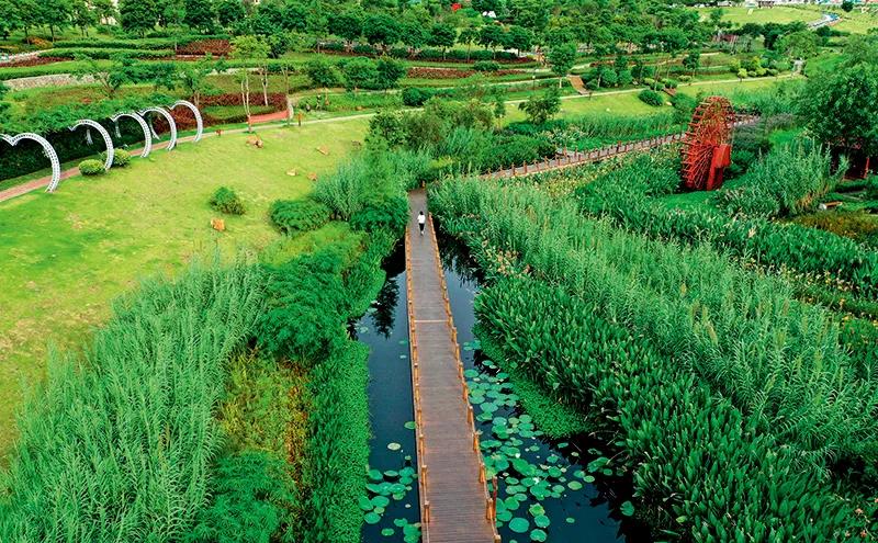 部分黑臭水體出現反彈,治理難在哪兒?