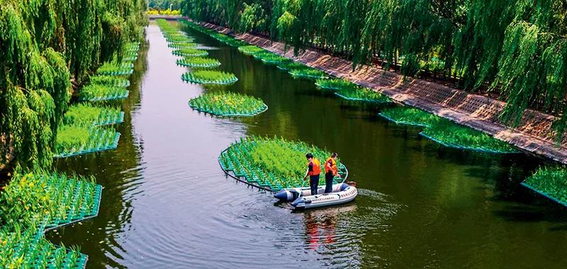 部分黑臭水體出現反彈,治理難在哪兒?(圖2) 部分黑臭水體出現反彈,治理難在哪兒?(圖2)