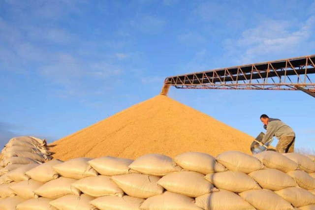 土壤修復市場,該火了!(圖2) 土壤修復市場,該火了!(圖2)