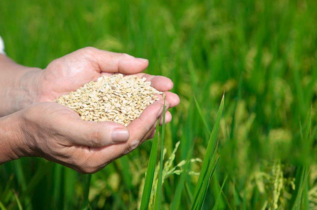 土壤修復市場,該火了!(圖3) 土壤修復市場,該火了!(圖3)