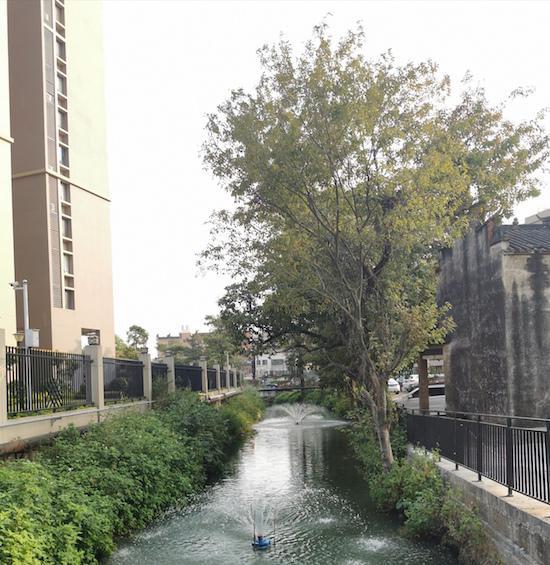 杏壇鎮(zhèn)全面完成2020年的農(nóng)村黑臭水體整治任務