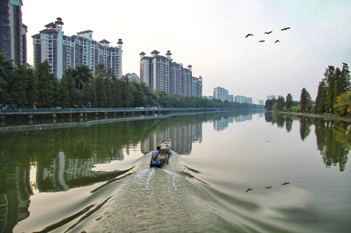 順德大良石洛涌、八坊涌整治見成效(圖1) 順德大良石洛涌、八坊涌整治見成效(圖1)