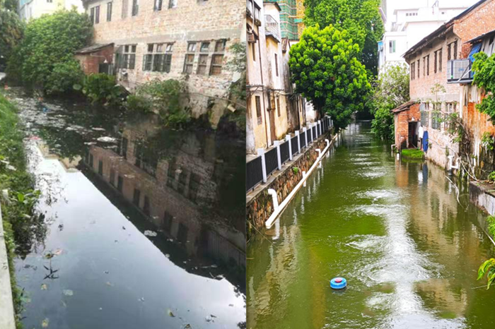 順德大良石洛涌、八坊涌整治見成效(圖2) 順德大良石洛涌、八坊涌整治見成效(圖2)