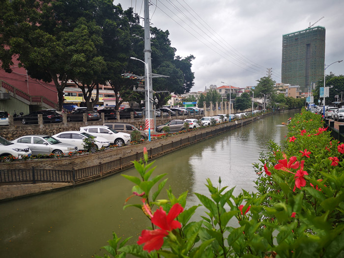 順德大良石洛涌、八坊涌整治見成效(圖4) 順德大良石洛涌、八坊涌整治見成效(圖4)